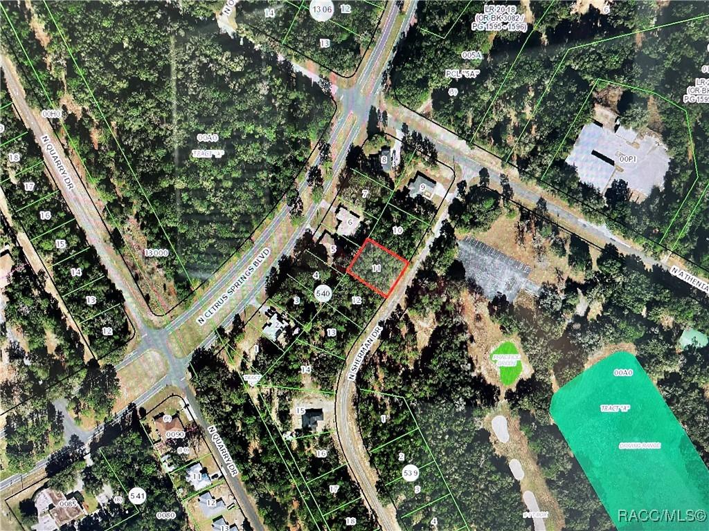 10380 N Sherman Dr, Citrus Springs, FL 34434