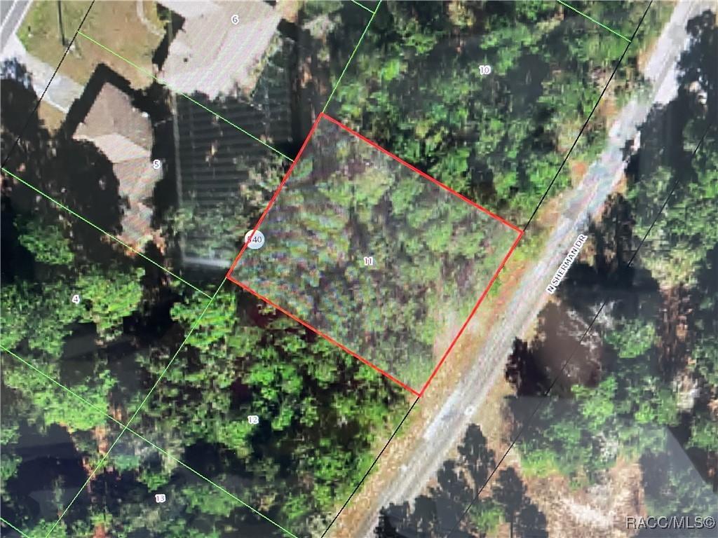 10380 N Sherman Dr, Citrus Springs, FL 34434