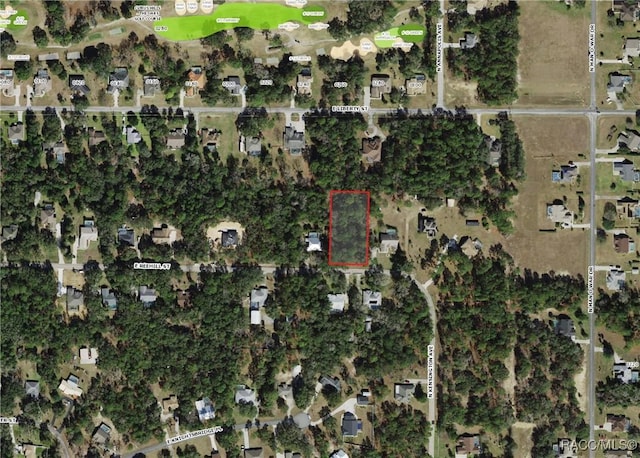 787 E Reehill St, Lecanto, FL 34461 - photo 6