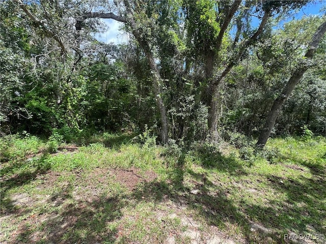 787 E Reehill St, Lecanto, FL 34461 - photo 7