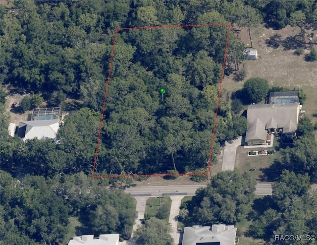 787 E Reehill St, Lecanto, FL 34461 - photo 2