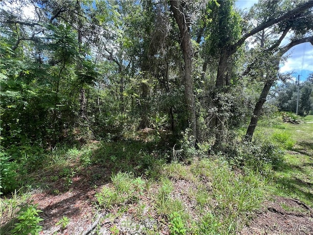 787 E Reehill St, Lecanto, FL 34461 - photo 10