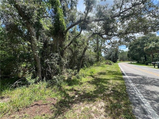 787 E Reehill St, Lecanto, FL 34461 - photo 3