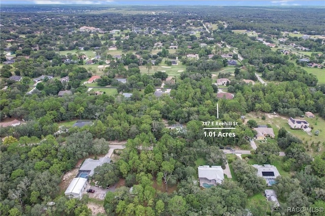 787 E Reehill St, Lecanto, FL 34461 - photo 4