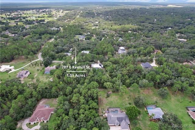 787 E Reehill St, Lecanto, FL 34461 - photo 1