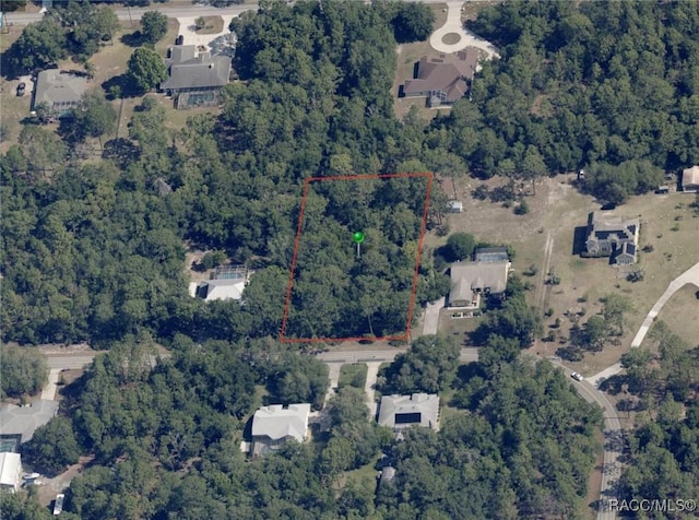 787 E Reehill St, Lecanto, FL 34461 - photo 8
