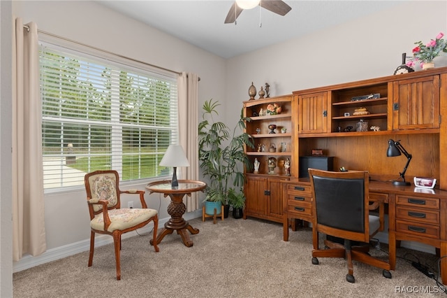 9810 N Angela Dr, Citrus Springs, FL 34433 - photo 24