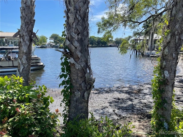 120 NW Magnolia Cir, Crystal River, FL 34428 - water view