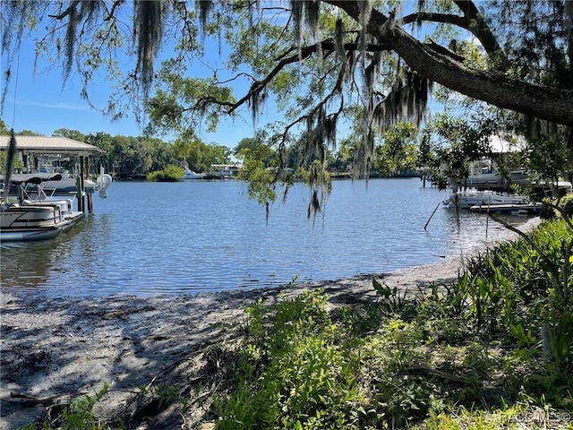 120 NW Magnolia Cir, Crystal River, FL 34428 - dock with a water view