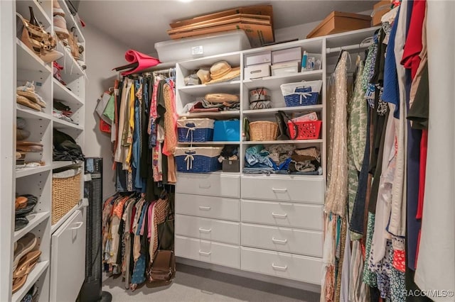 view of spacious closet