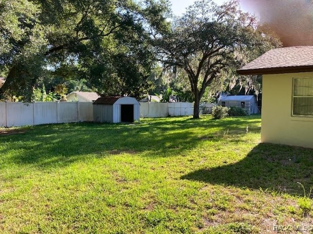 view of yard featuring a shed