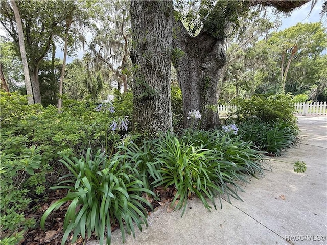 5217 Riverside Dr, Yankeetown, FL 34498 - view of yard