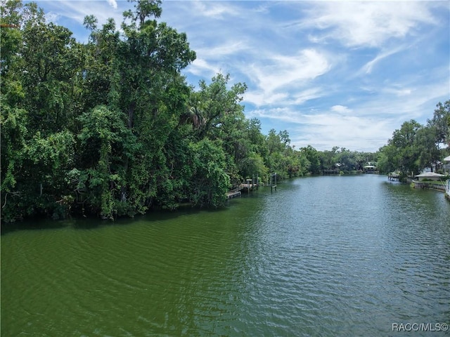 5217 Riverside Dr, Yankeetown, FL 34498 - water view