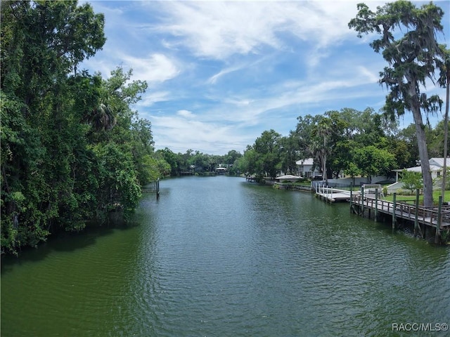 5217 Riverside Dr, Yankeetown, FL 34498 - water view