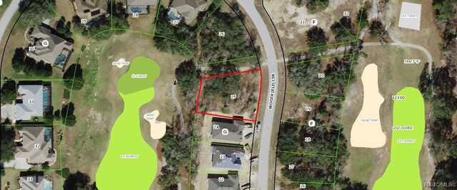 60 Woodfield Cir, Homosassa, FL 34446