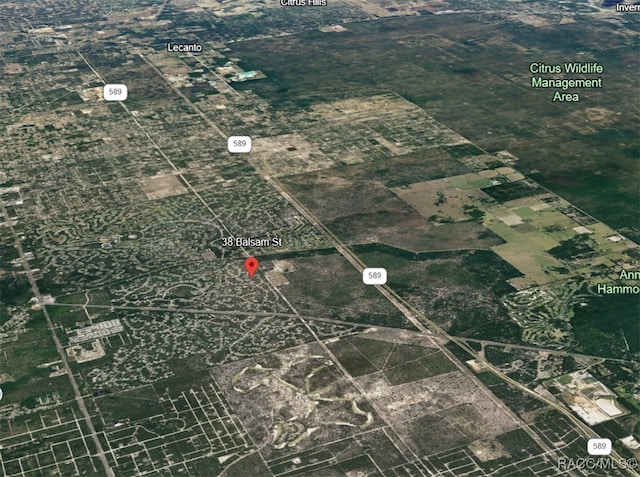 38 Balsam St, Homosassa, FL 34446 - photo 41