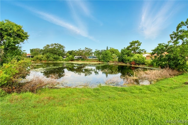 5728 Colonial Dr, New Port Richey, FL 34653 - photo 24