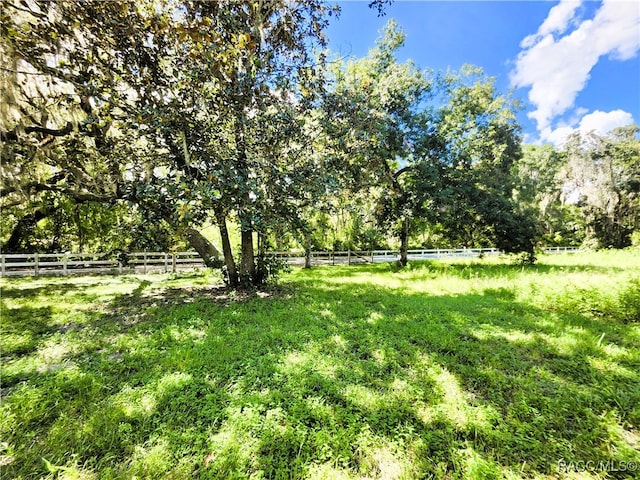 view of yard featuring a rural view