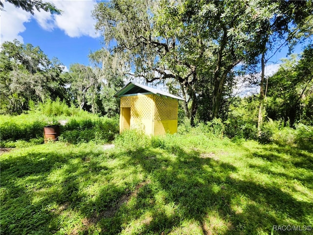 view of yard with a storage shed