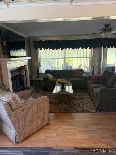 living room with light wood-style flooring, a glass covered fireplace, a wealth of natural light, and ceiling fan