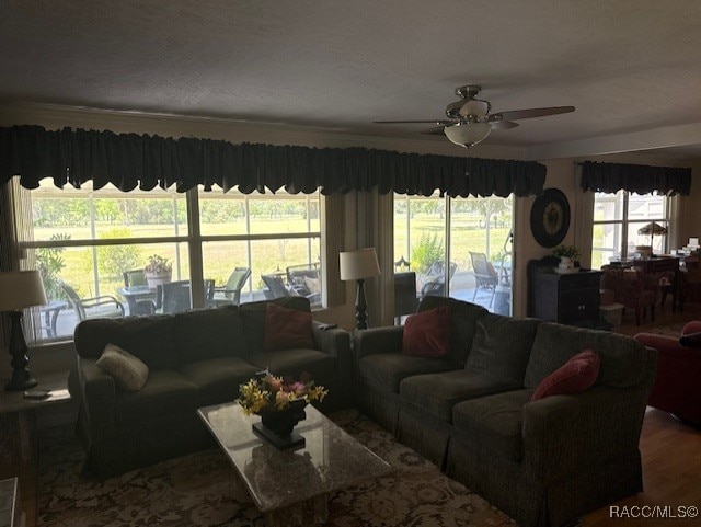 living room with a ceiling fan and wood finished floors