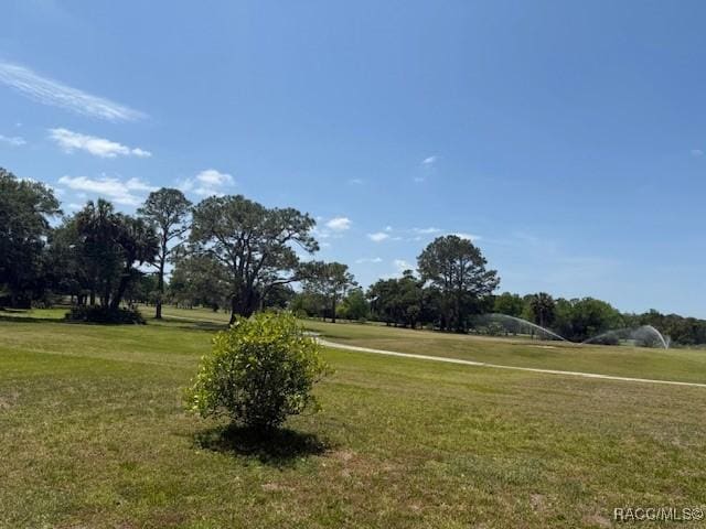 surrounding community featuring a yard
