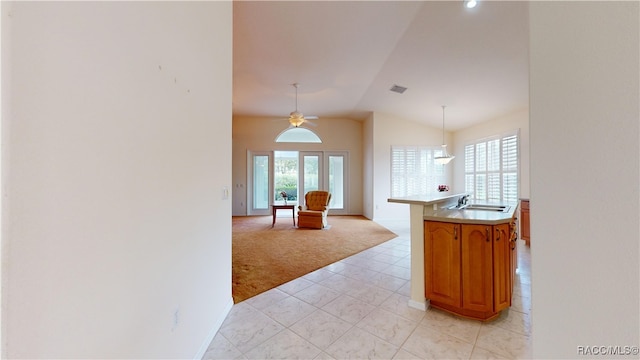 interior space featuring a sink, visible vents, light carpet, and a wealth of natural light