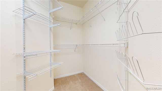 spacious closet with carpet flooring