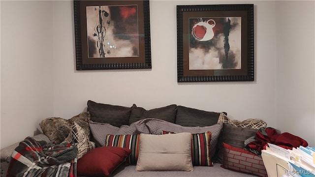 living room featuring carpet floors