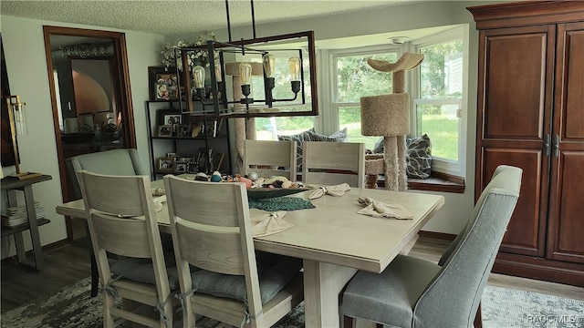 dining space with plenty of natural light, wood-type flooring, and a textured ceiling