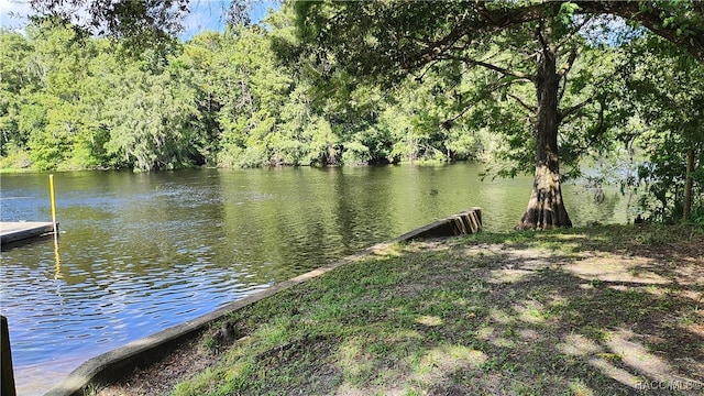 view of dock with a water view