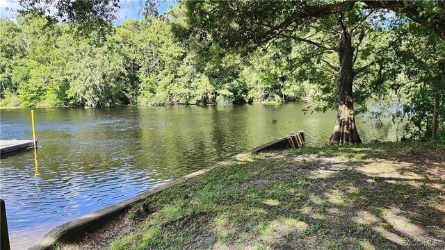2409 N Junglecamp Rd, Inverness, FL 34453 - photo 6