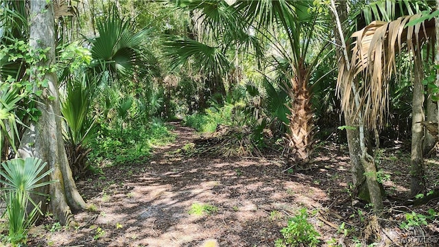 2409 N Junglecamp Rd, Inverness, FL 34453 - photo 43