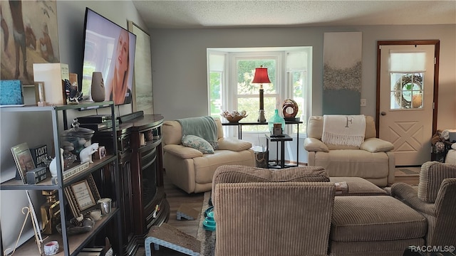 sitting room with a textured ceiling