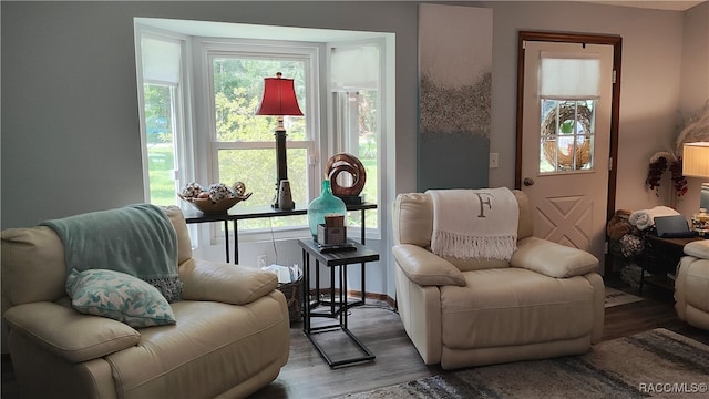 living area featuring hardwood / wood-style floors