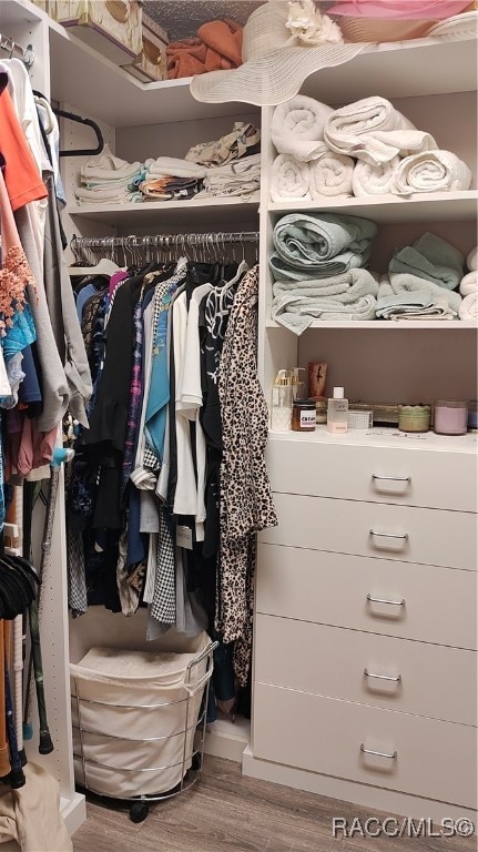 walk in closet featuring wood-type flooring