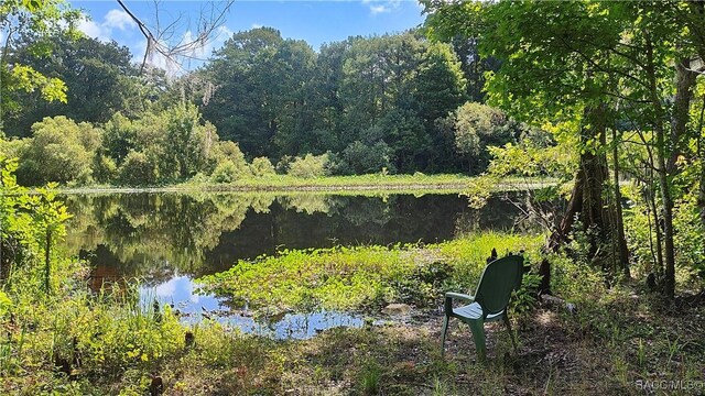 2409 N Junglecamp Rd, Inverness, FL 34453 - photo 4