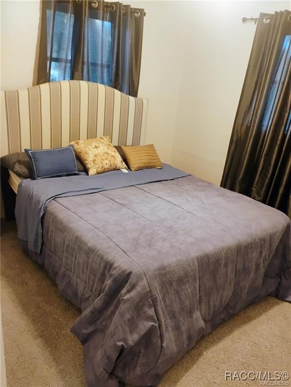 bedroom featuring carpet floors