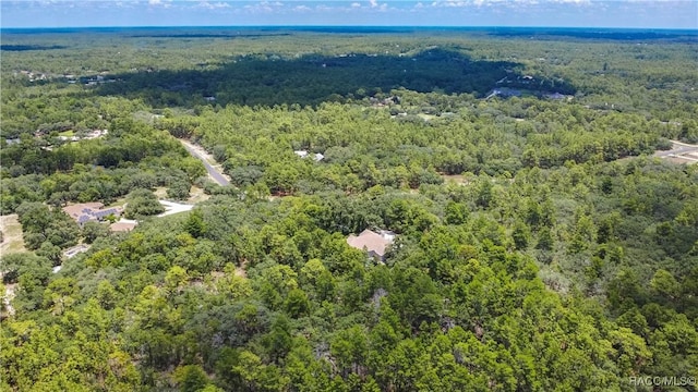5550 W Yearling Dr, Beverly Hills, FL 34465 - bird's eye view of a forest