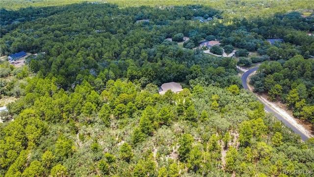 5550 W Yearling Dr, Beverly Hills, FL 34465 - bird's eye view of a forest
