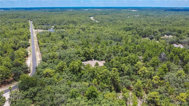 5550 W Yearling Dr, Beverly Hills, FL 34465 - drone / aerial view of a heavily wooded area