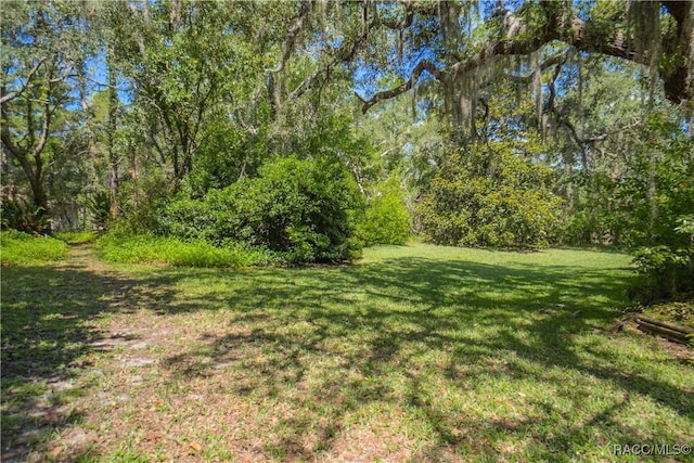 5550 W Yearling Dr, Beverly Hills, FL 34465 - view of green lawn with a view of trees