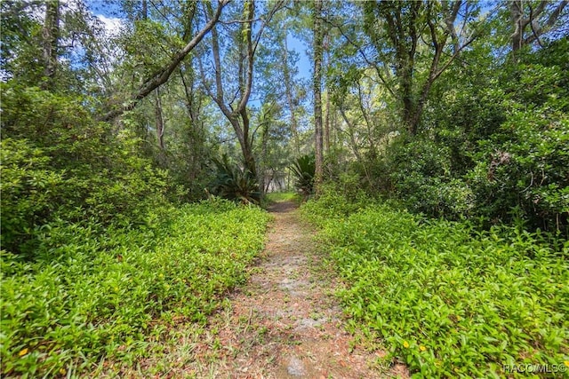 5550 W Yearling Dr, Beverly Hills, FL 34465 - view of street featuring a view of trees