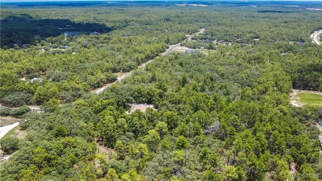 5550 W Yearling Dr, Beverly Hills, FL 34465 - bird's eye view of a forest