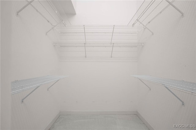 5550 W Yearling Dr, Beverly Hills, FL 34465 - view of spacious closet
