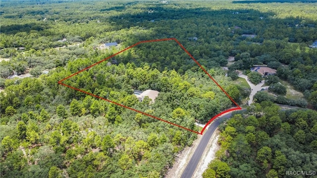 5550 W Yearling Dr, Beverly Hills, FL 34465 - aerial view of property's location with a heavily wooded area and property boundaries highlighted