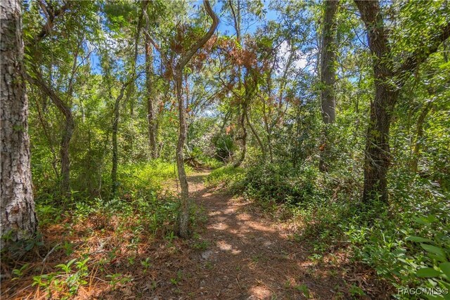 5550 W Yearling Dr, Beverly Hills, FL 34465 - view of wooded area