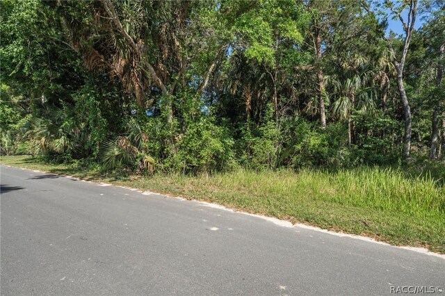 11681 W N Pl, Homosassa, FL 34448
