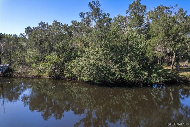 11681 W N Pl, Homosassa, FL 34448