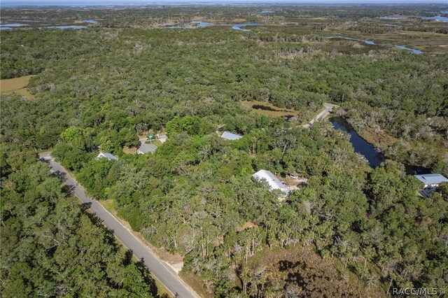 11681 W N Pl, Homosassa, FL 34448